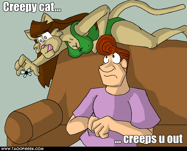 LOLGeeks image - Creepy cat: creeps you out